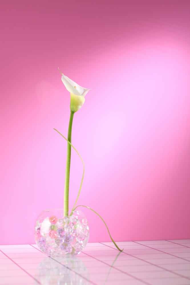 Glasvase rund - Rosa - Flower 2<br />5,90 &euro;