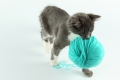 Bild 1 von Katzenknäuel  / (Farbe) türkis